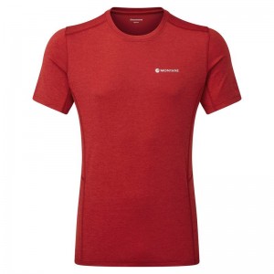 Dark Red Montane Dart Men's T Shirts | AOD8821LY