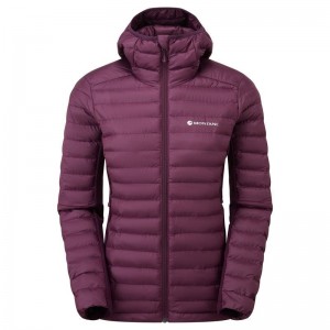 Purple Montane Icarus Lite Hooded Women's Jackets | SGR1566JV