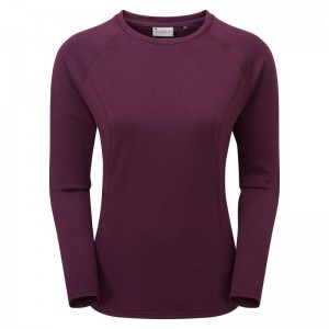 Purple Montane Protium Women's Sweaters | FFN541TQ